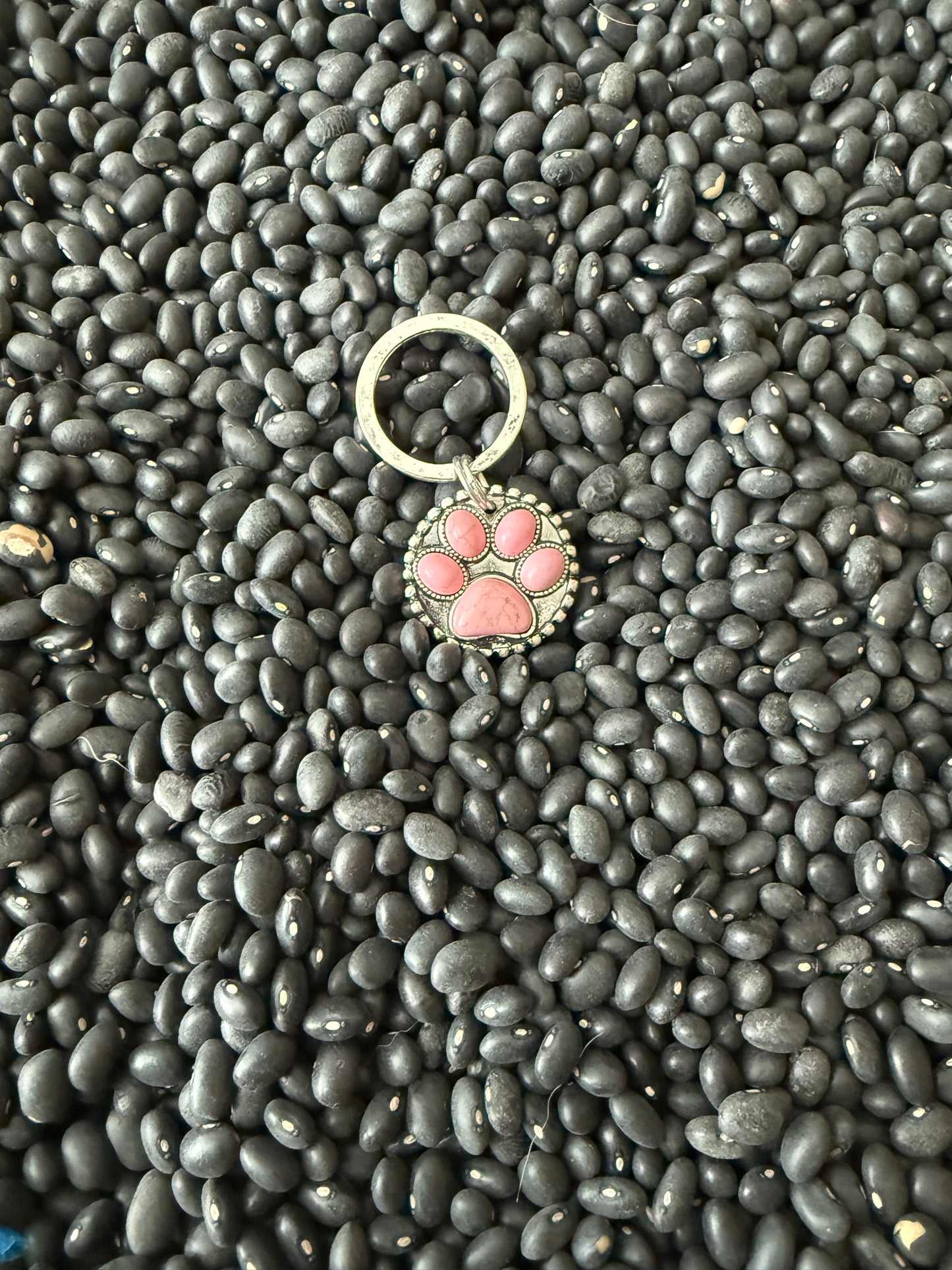 Paw Print Key Chain