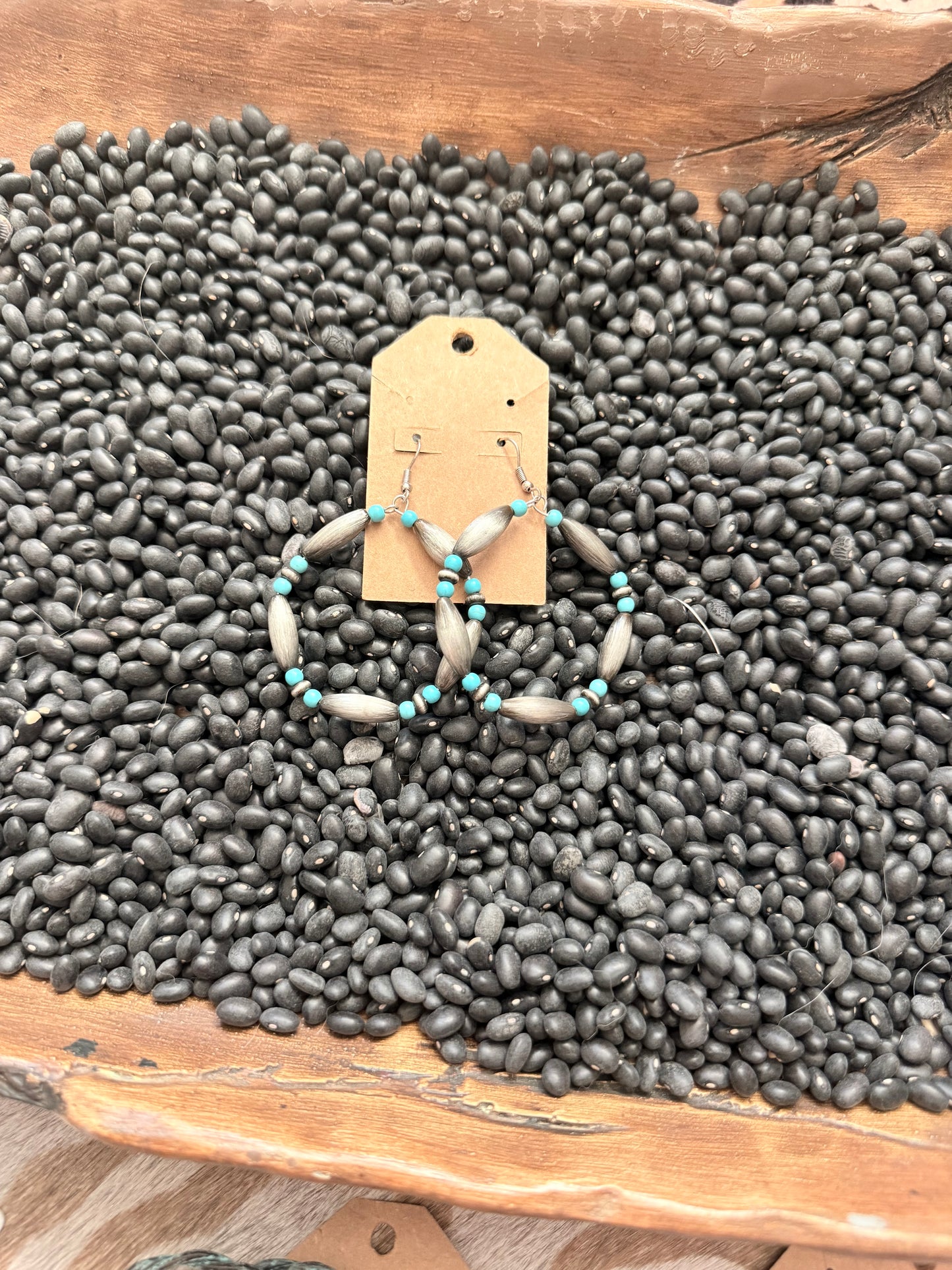 Torpedo and Turquoise Hoops