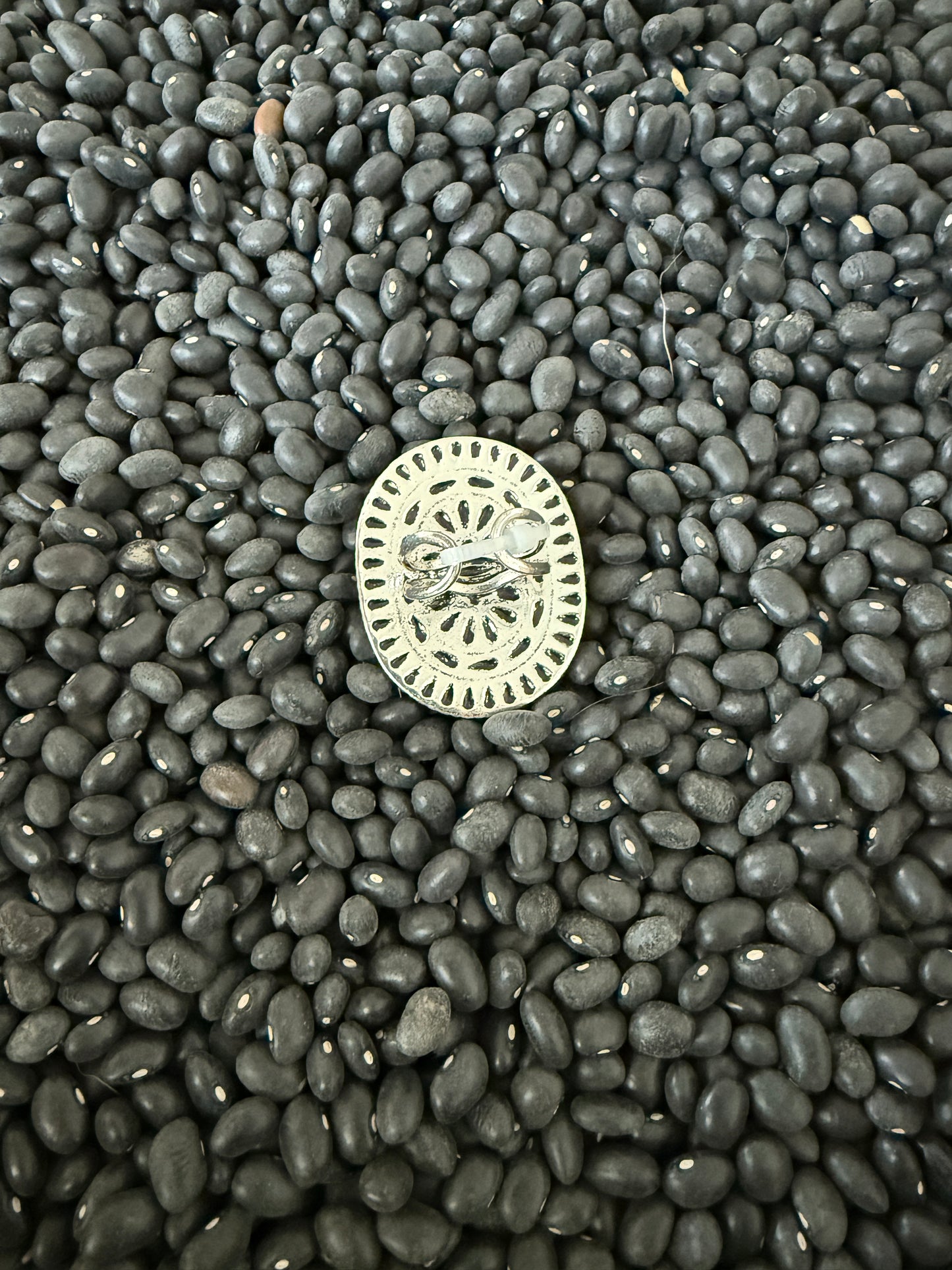 Big and Silver Ring