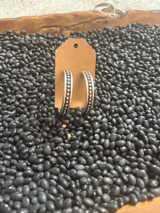 The Nicole Hoops