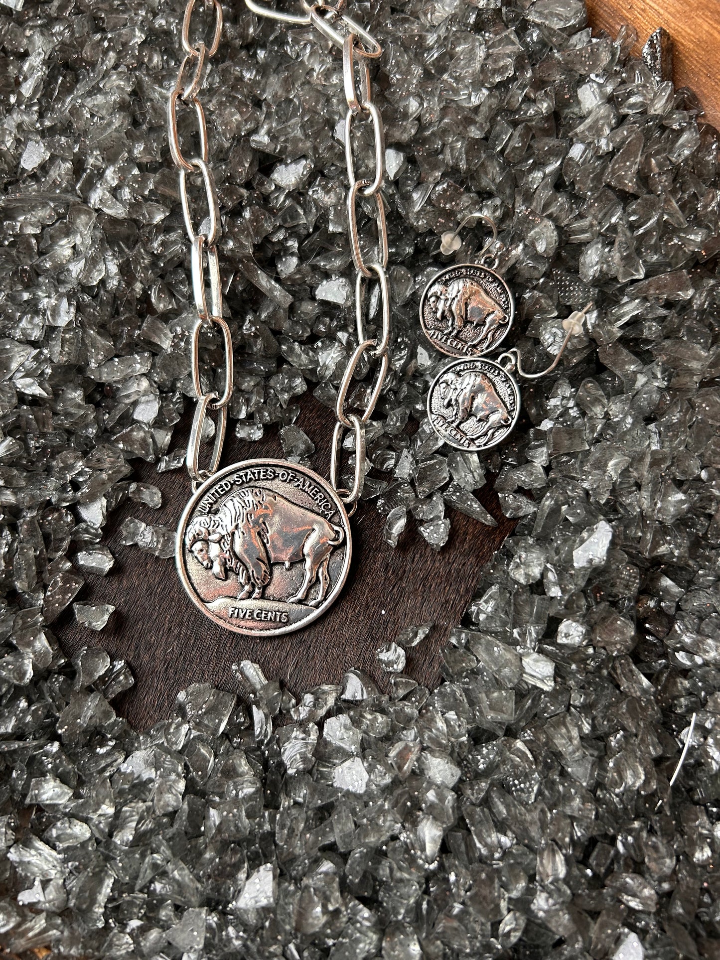 Buffalo Coin Set