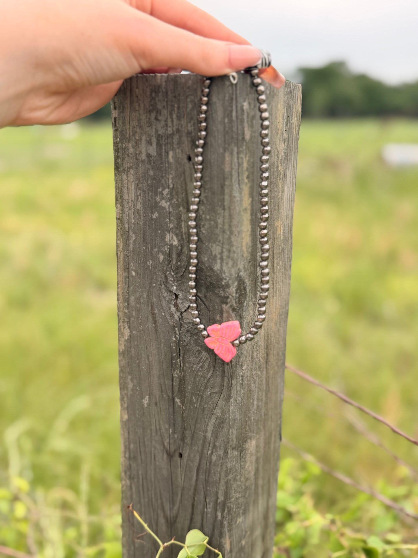 Pink Butterfly